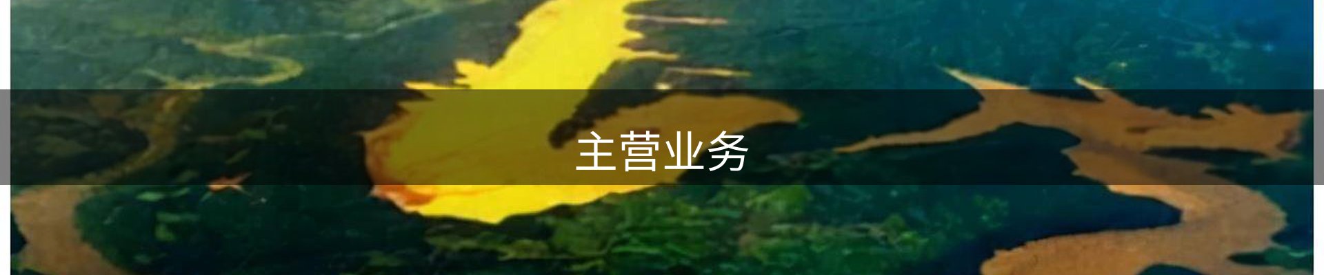 主营业务